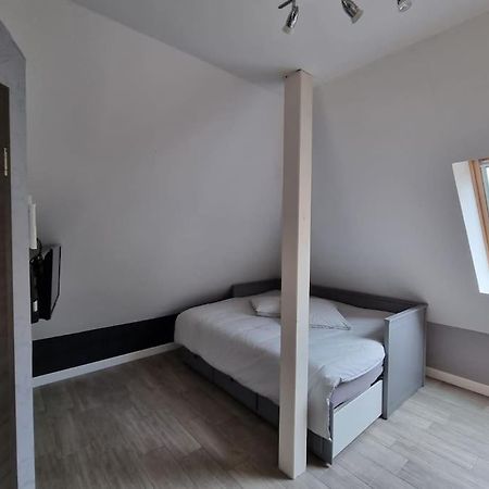 Studio De La Demi Lune Plobsheim Εξωτερικό φωτογραφία